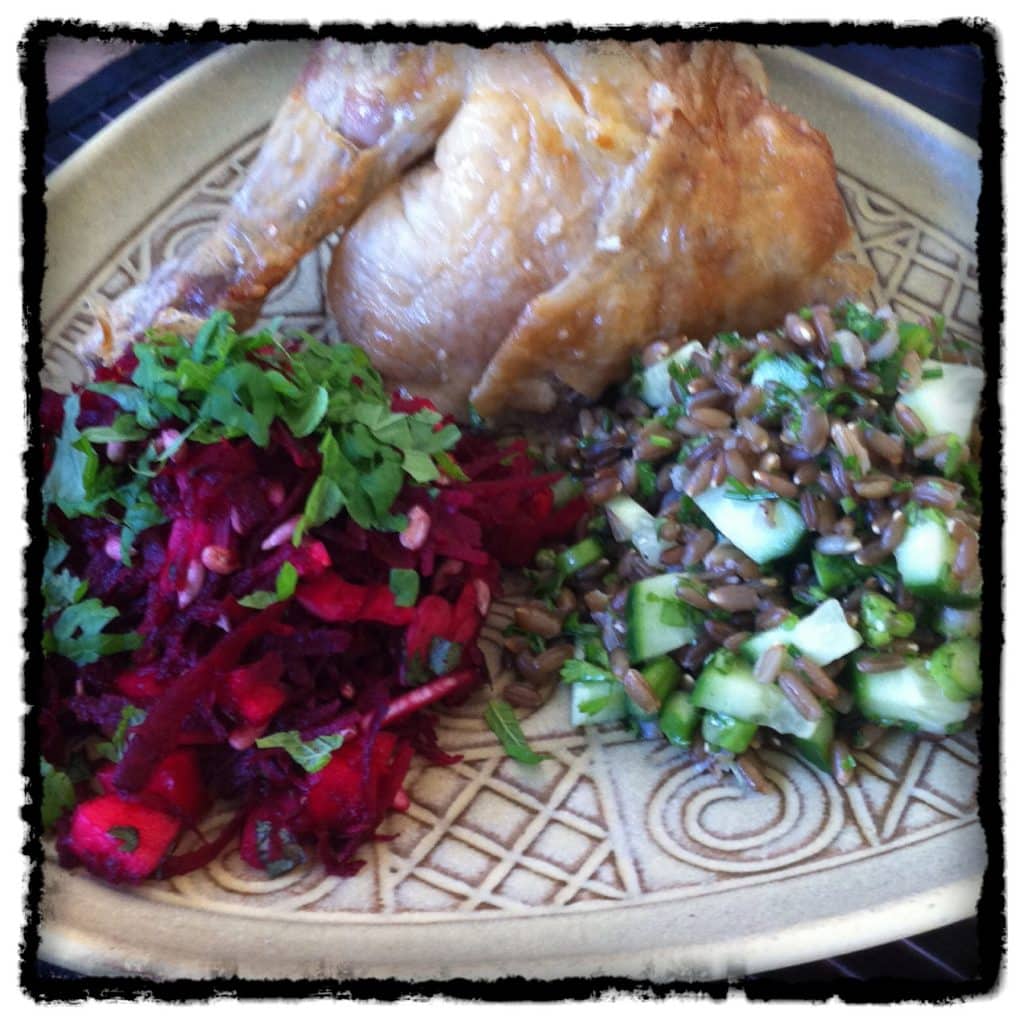 Langtids stegt gammeldaws kylling